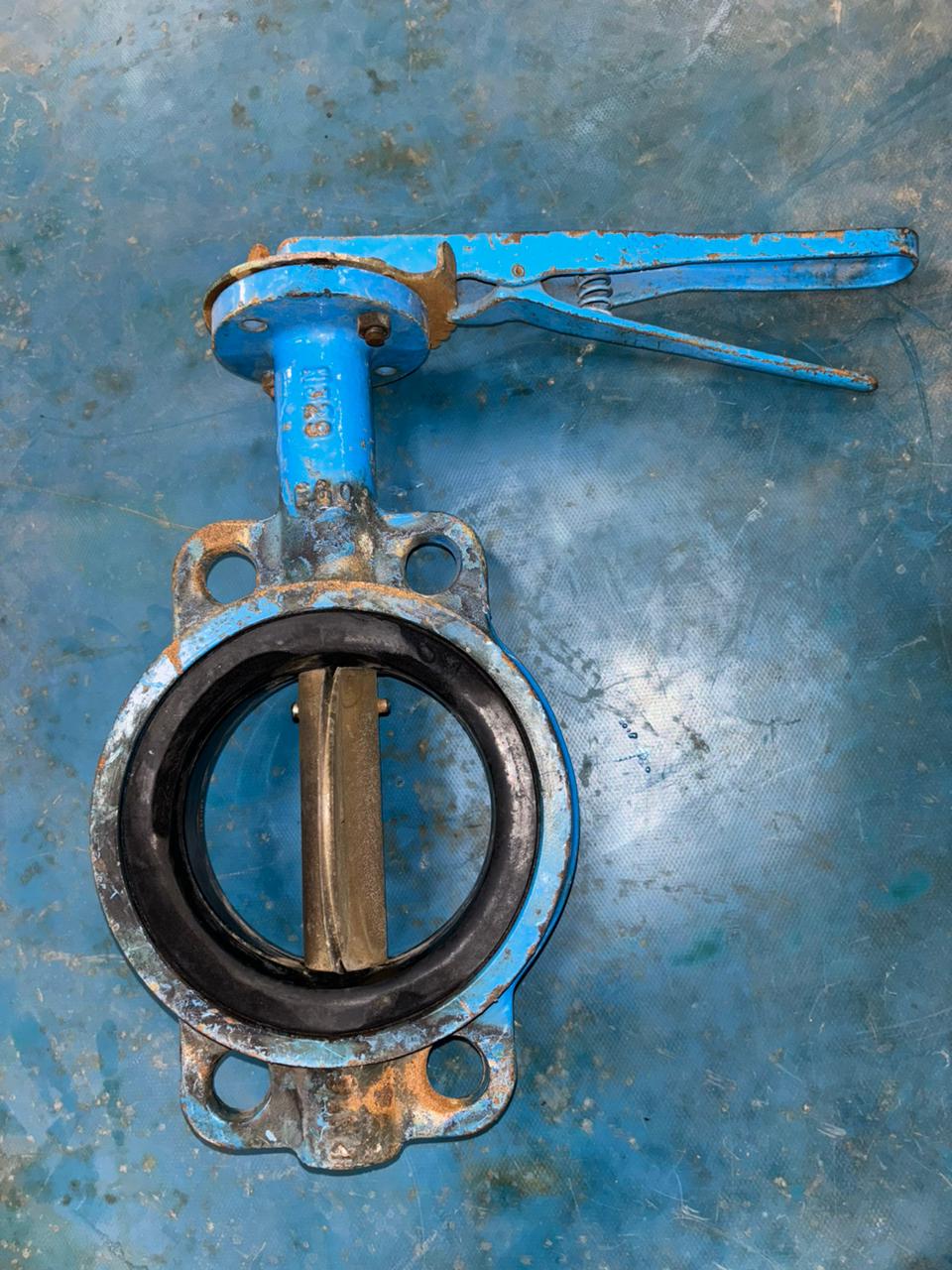 36 (4) EGO - 16 PN - SIZE 5"INCH - BUTTERFLY VALVE - Image 1