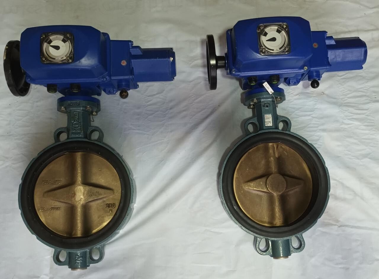 42 (3) EBRO ARMATUREN - 10 BAR - BUTTERFLY VALVE - Image 1